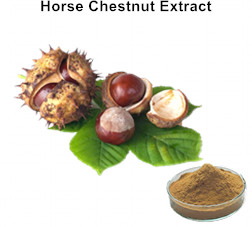 Horse Chestnut Extract