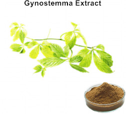 Gynostemma Extract