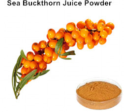 Seabuckthorn Fruit Juice Powder
