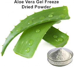 Aloe Vera Gel Freeze Dried Powder