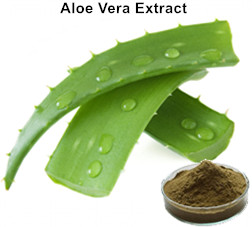 Aloin Aloe Vera Extract