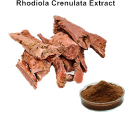 Rhodiola Crenulata Extract