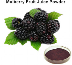 Mulberry Fruit Juice Powder