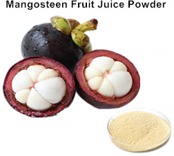 Mangosteen Fruit Juice Powder
