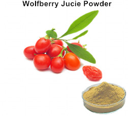 Wolfberry Juice Powder 