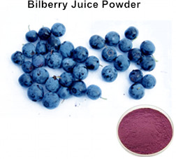 Bilberry Juice Powder